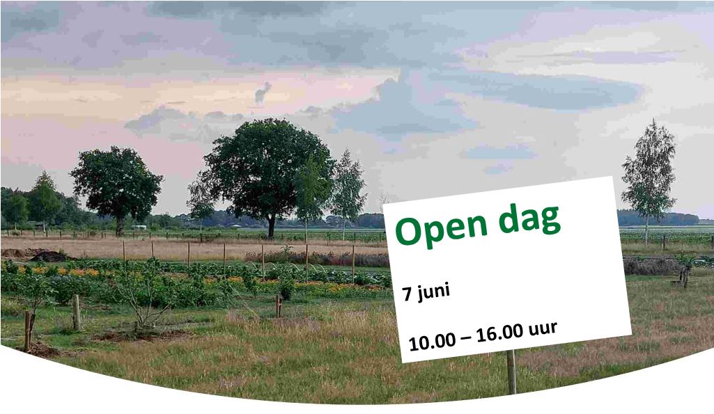 Achtergrond banner